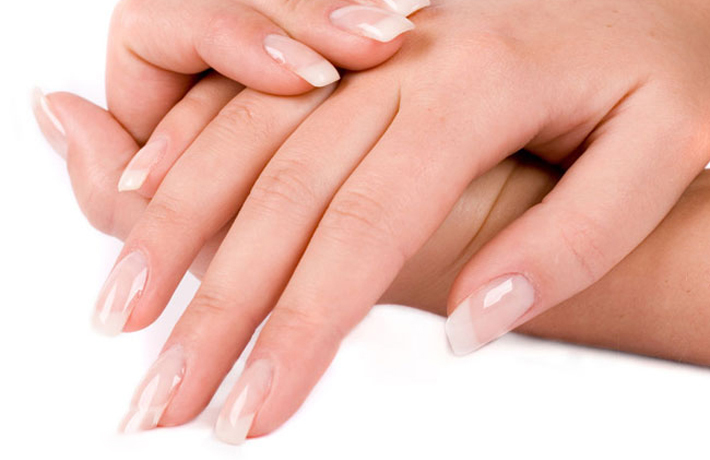 178730-bo-kiem-cat-mong-body (1).jpg